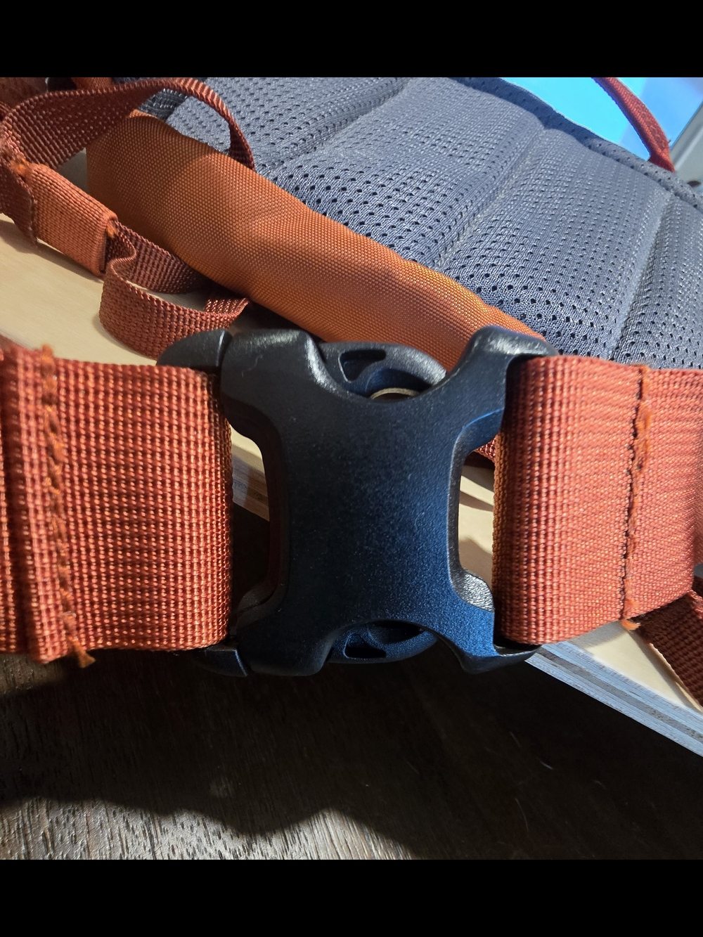 REI Unisex Co-op Trail 5 Waistpack Burnt Orange / Tapenade colorway Sustainabke - Picture 7 of 12